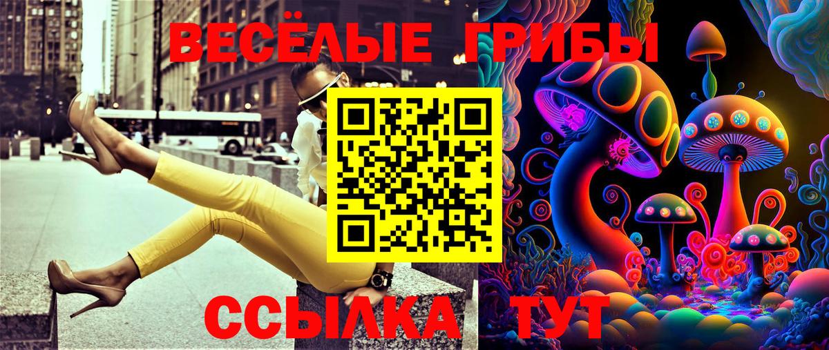 Берёзовский  Галлюциногенные грибы мицелий  Вход с VPN 