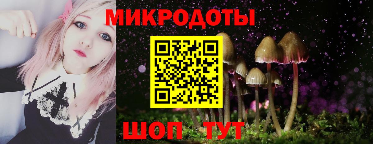Псилоцибиновые грибы GOLDEN TEACHER  Берёзовский 