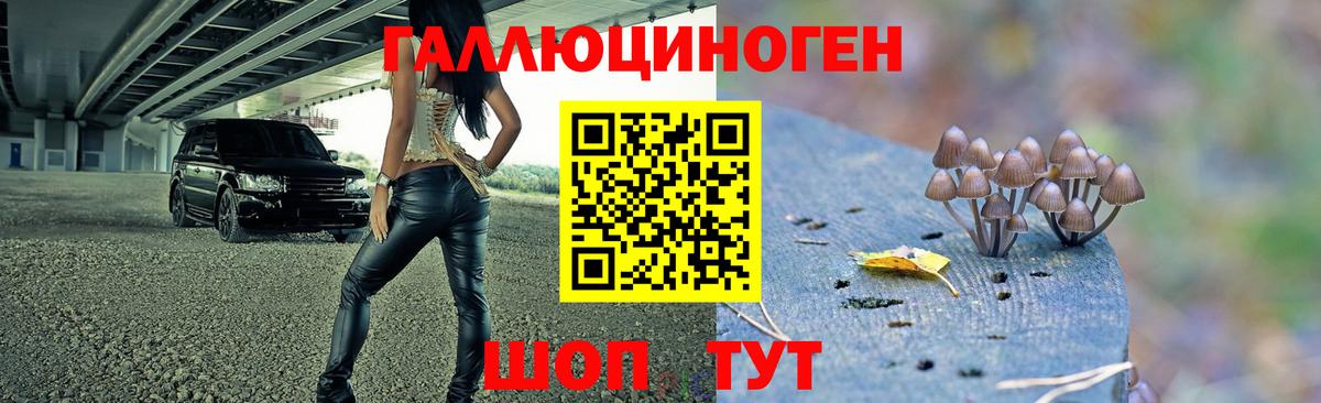 Берёзовский  Гашиш  Марихуана  Метадон  АМФ   А ПВП СОЛЬ   МАРИХУАНА  MDMA  Меф   Cocaine  Мефедрон  