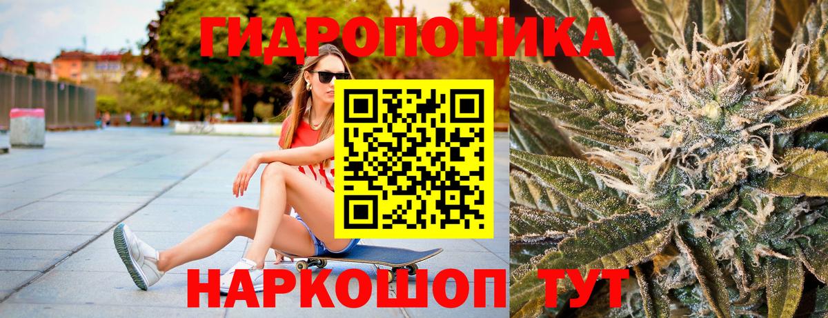 Бошки марихуана сатива Берёзовский